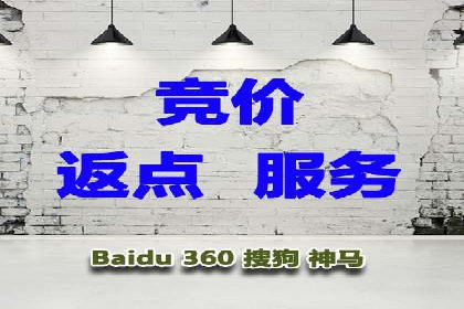 百度推广实战攻略：案例与策略
